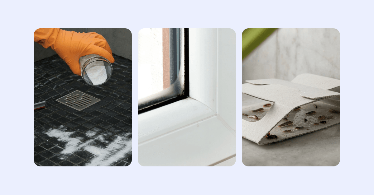 Åtgärder för att förebygga silverfiskar.